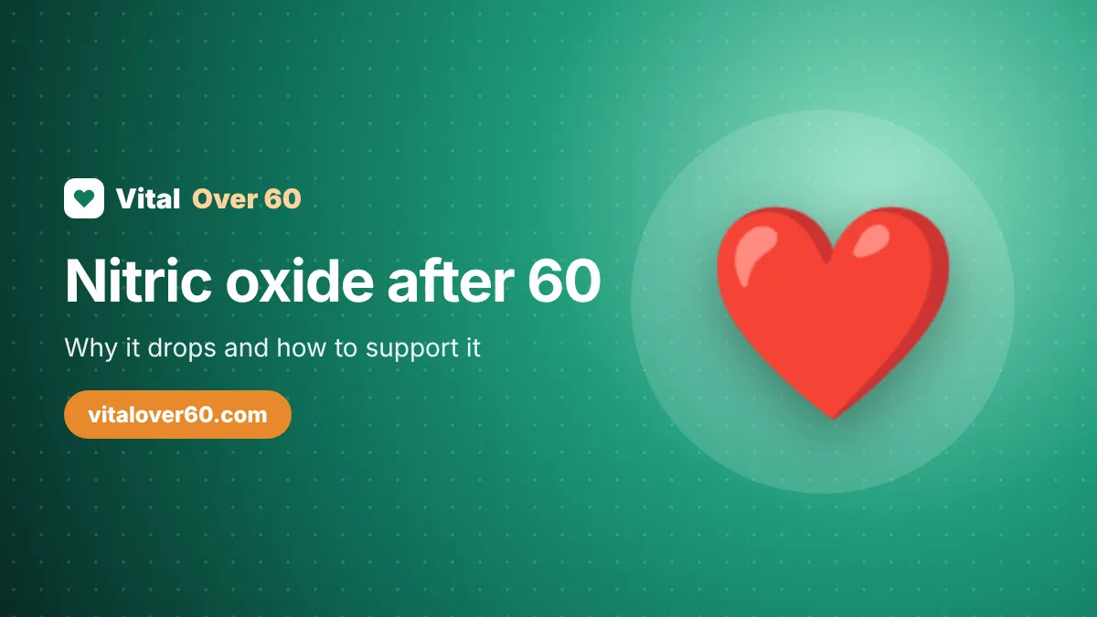 Nitric Oxide After 60: Why It Drops and How to Support It